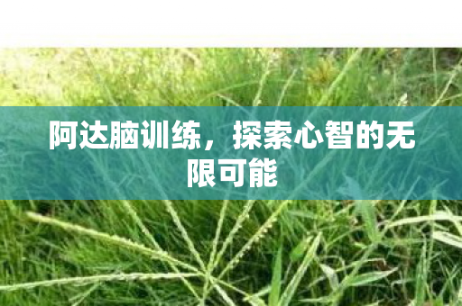 阿达脑训练，探索心智的无限可能