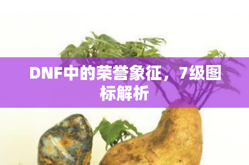 DNF中的荣誉象征，7级图标解析