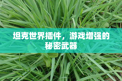 坦克世界插件，游戏增强的秘密武器