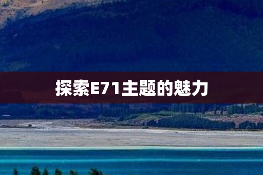 探索E71主题的魅力