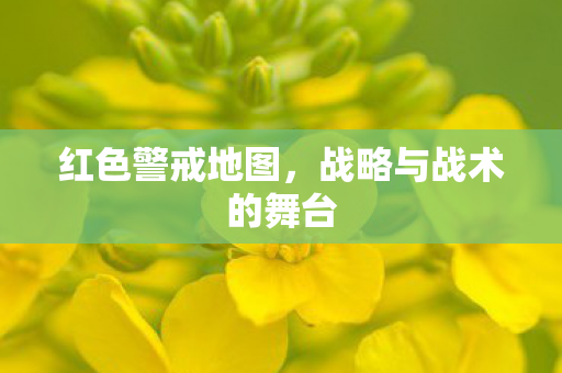 红色警戒地图，战略与战术的舞台