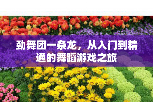 劲舞团一条龙,从入门到精通的舞蹈游戏之旅 劲舞团一条龙,从入门到精通的舞蹈游戏之旅