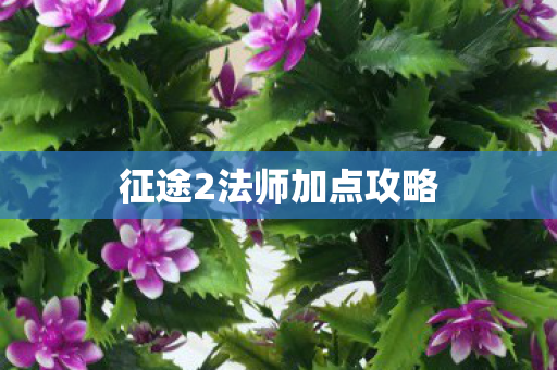 征途2法师加点攻略