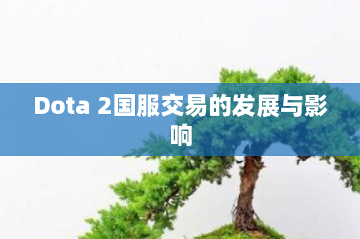Dota 2国服交易的发展与影响