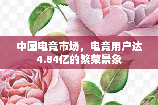 中国电竞市场，电竞用户达4.84亿的繁荣景象