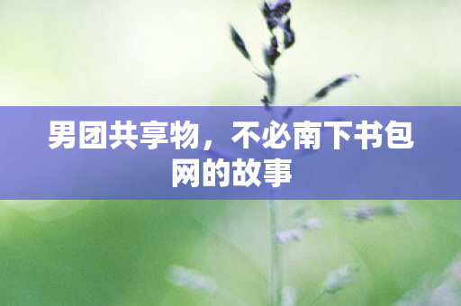 男团共享物，不必南下书包网的故事