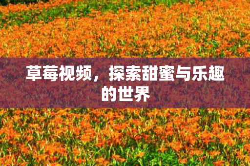 草莓视频，探索甜蜜与乐趣的世界