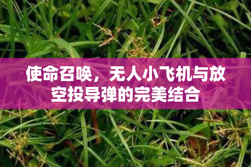 使命召唤,无人小飞机与放空投导弹的完美结合 使命召唤,无人小飞机与放空投导弹的完美结合