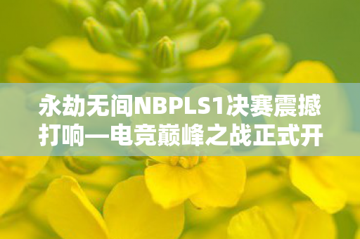 永劫无间NBPLS1决赛震撼打响—电竞巅峰之战正式开启