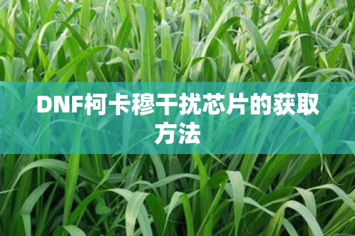 DNF柯卡穆干扰芯片的获取方法