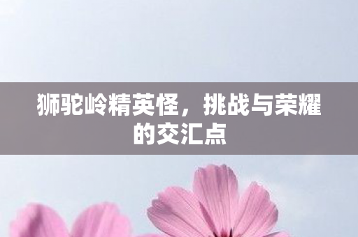 狮驼岭精英怪,挑战与荣耀的交汇点 狮驼岭精英怪,挑战与荣耀的交汇点