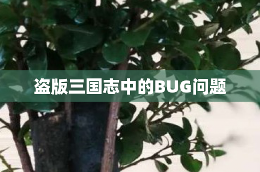 盗版三国志中的BUG问题