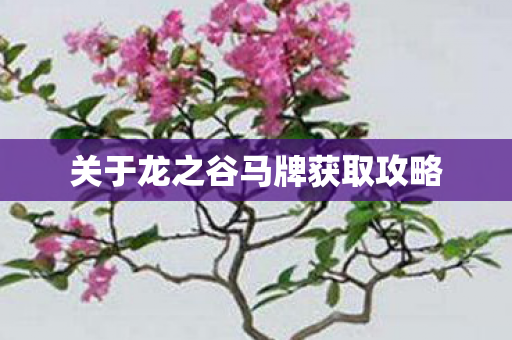 关于龙之谷马牌获取攻略 关于龙之谷马牌获取攻略