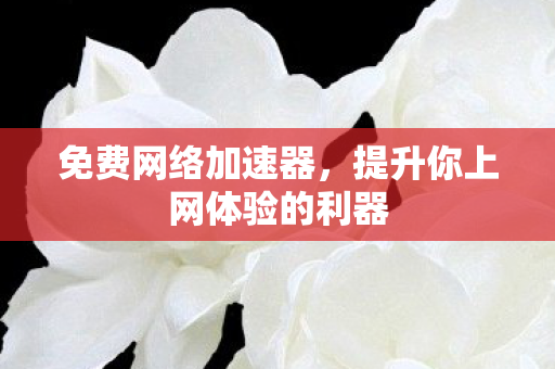 免费网络加速器，提升你上网体验的利器