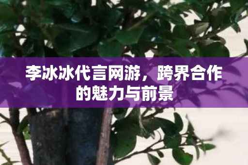 李冰冰代言网游，跨界合作的魅力与前景