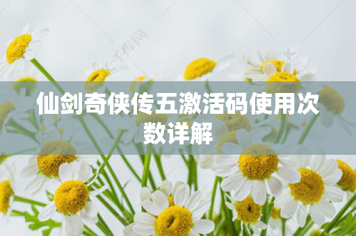 仙剑奇侠传五激活码使用次数详解 仙剑奇侠传五激活码使用次数详解