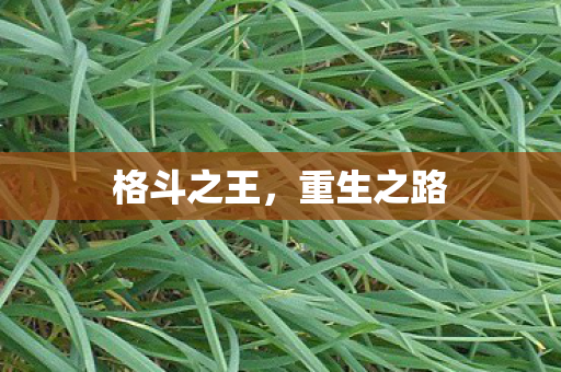 格斗之王,重生之路 格斗之王,重生之路