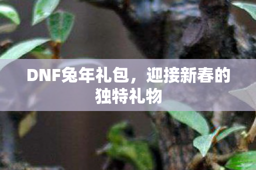 DNF兔年礼包，迎接新春的独特礼物
