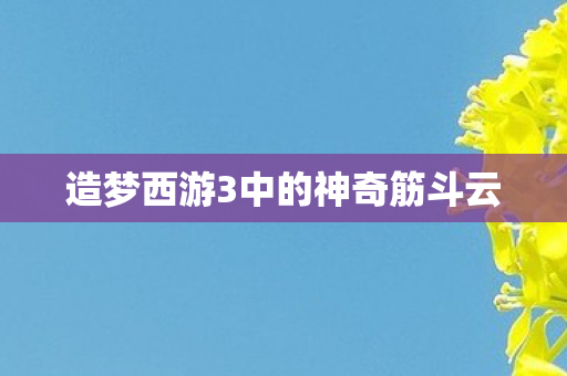 造梦西游3中的神奇筋斗云
