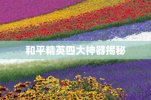 和平精英四大神器揭秘