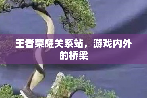 王者荣耀关系站，游戏内外的桥梁