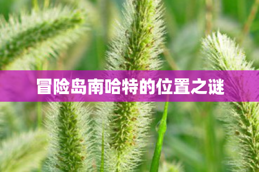 冒险岛南哈特的位置之谜