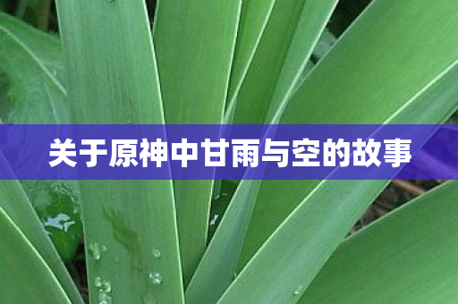 关于原神中甘雨与空的故事