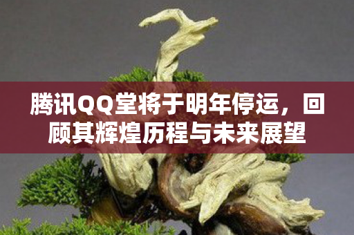 腾讯QQ堂将于明年停运，回顾其辉煌历程与未来展望