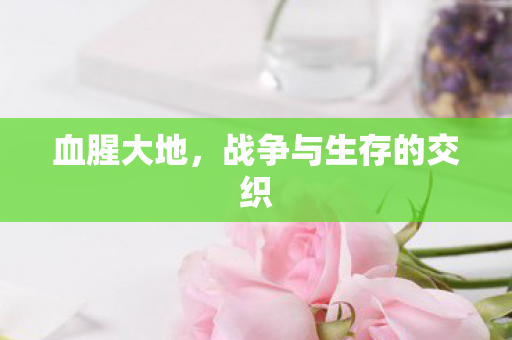 血腥大地，战争与生存的交织