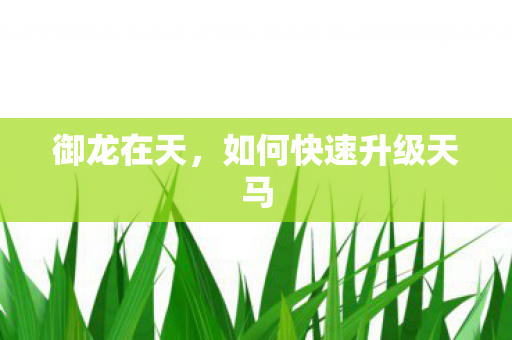 御龙在天，如何快速升级天马