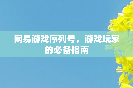 网易游戏序列号，游戏玩家的必备指南