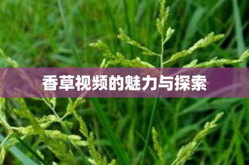 香草视频的魅力与探索