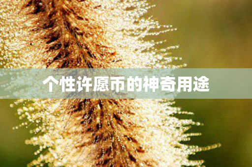 个性许愿币的神奇用途