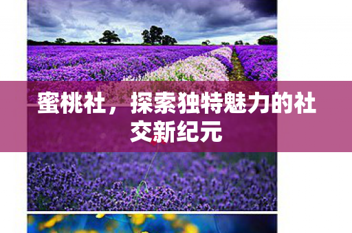 蜜桃社，探索独特魅力的社交新纪元