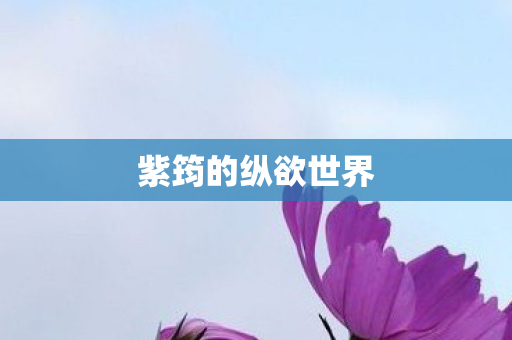 紫筠的纵欲世界