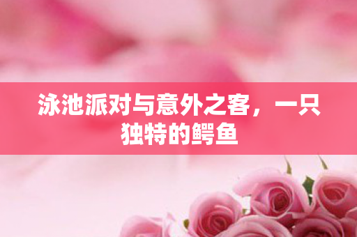 泳池派对与意外之客，一只独特的鳄鱼