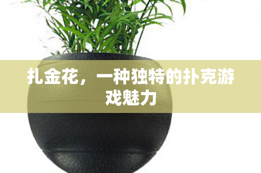 扎金花，一种独特的扑克游戏魅力