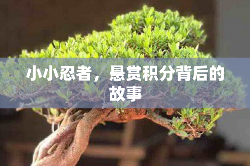 小小忍者，悬赏积分背后的故事