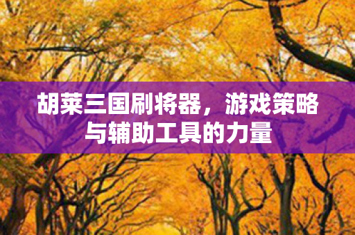 胡莱三国刷将器，游戏策略与辅助工具的力量