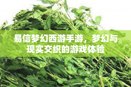 易信梦幻西游手游,梦幻与现实交织的游戏体验 易信梦幻西游手游,梦幻与现实交织的游戏体验