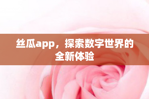 丝瓜app，探索数字世界的全新体验