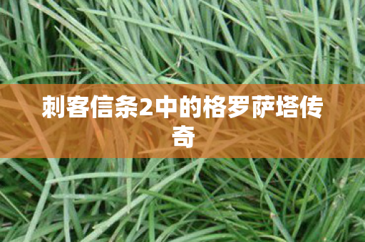 刺客信条2中的格罗萨塔传奇