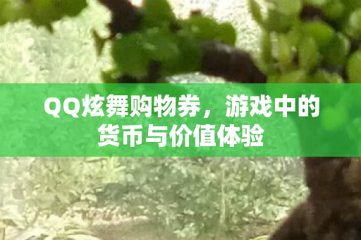 QQ炫舞购物券，游戏中的货币与价值体验
