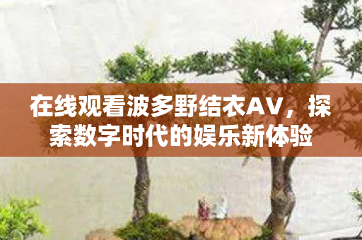 在线观看波多野结衣AV，探索数字时代的娱乐新体验