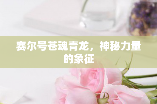 赛尔号苍魂青龙，神秘力量的象征