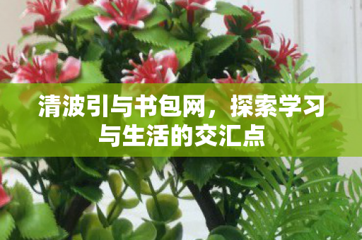 清波引与书包网，探索学习与生活的交汇点