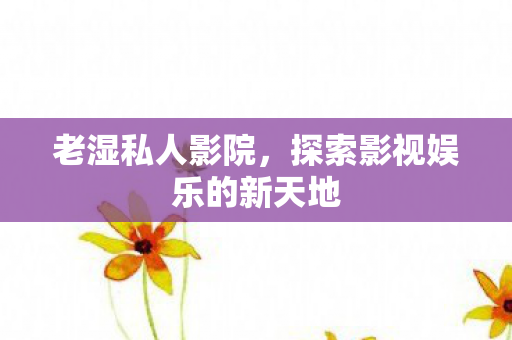 老湿私人影院，探索影视娱乐的新天地