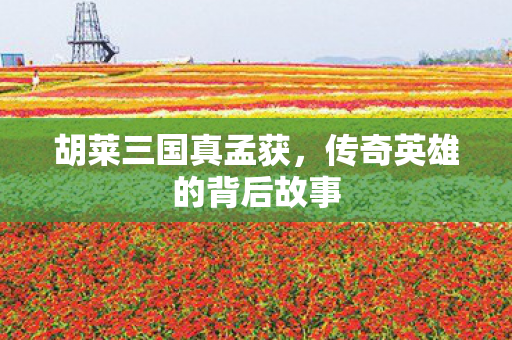 胡莱三国真孟获,传奇英雄的背后故事 胡莱三国真孟获,传奇英雄的背后故事