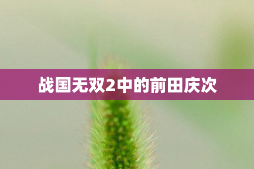 战国无双2中的前田庆次