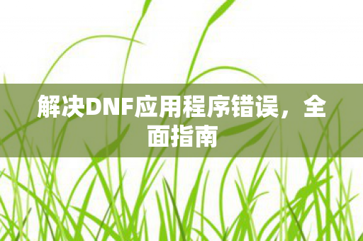 解决DNF应用程序错误，全面指南